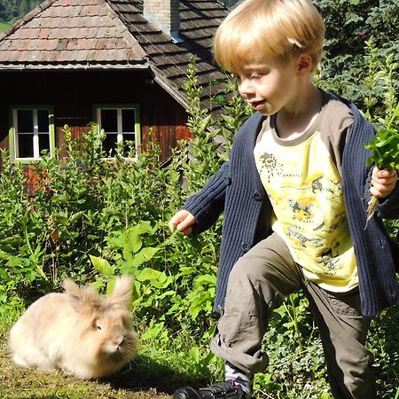 Ferienhaus Pirker Villa Krems in Kaernten Bagian luar foto