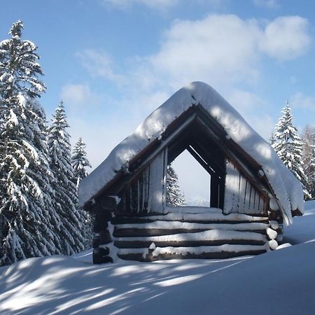 Ferienhaus Pirker Villa Krems in Kaernten Bagian luar foto