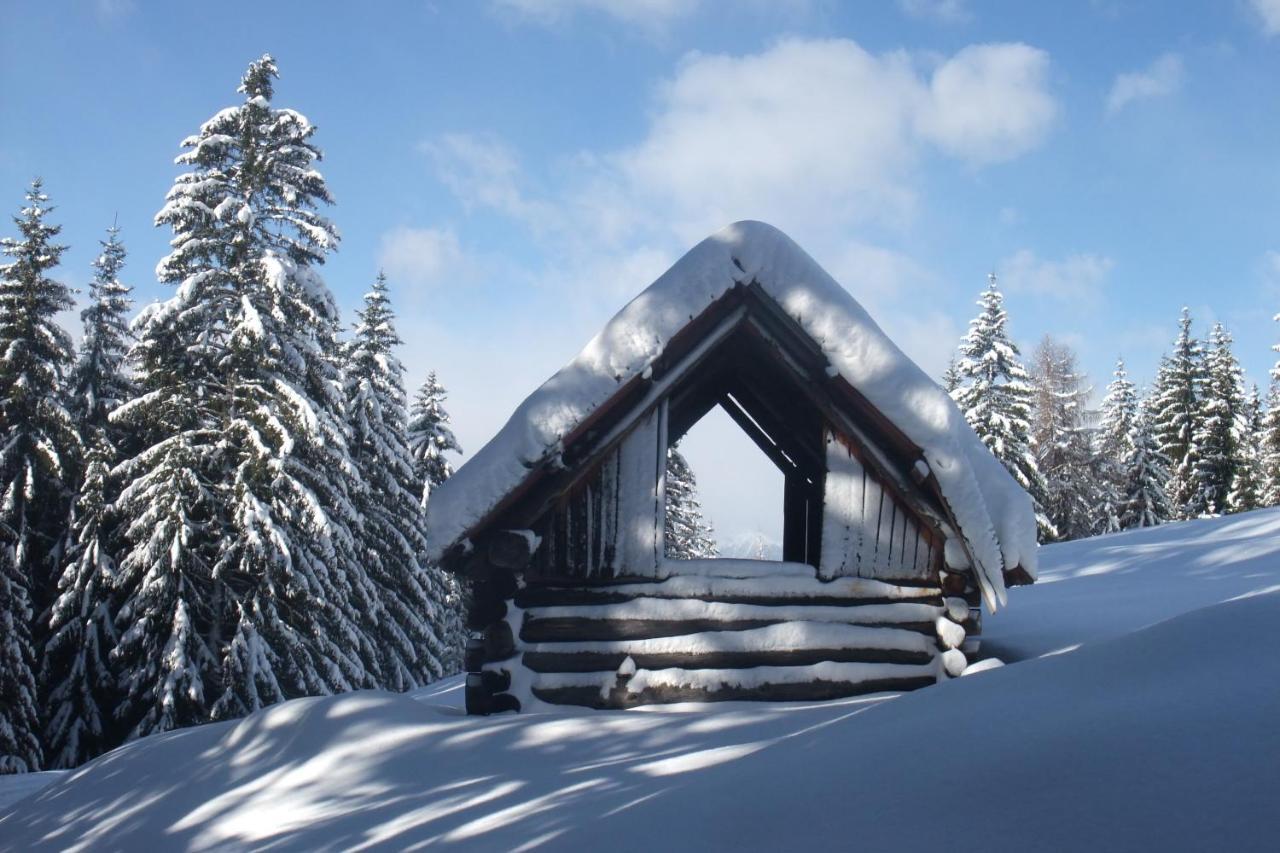 Ferienhaus Pirker Villa Krems in Kaernten Bagian luar foto